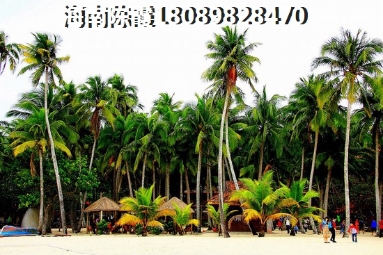 石榴·映园春晓2室2厅1厨1卫建面82.00㎡